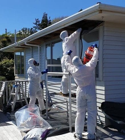 Wellington asbestos removal