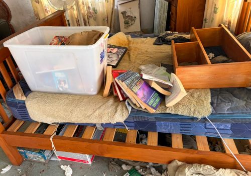 Hoarders 13